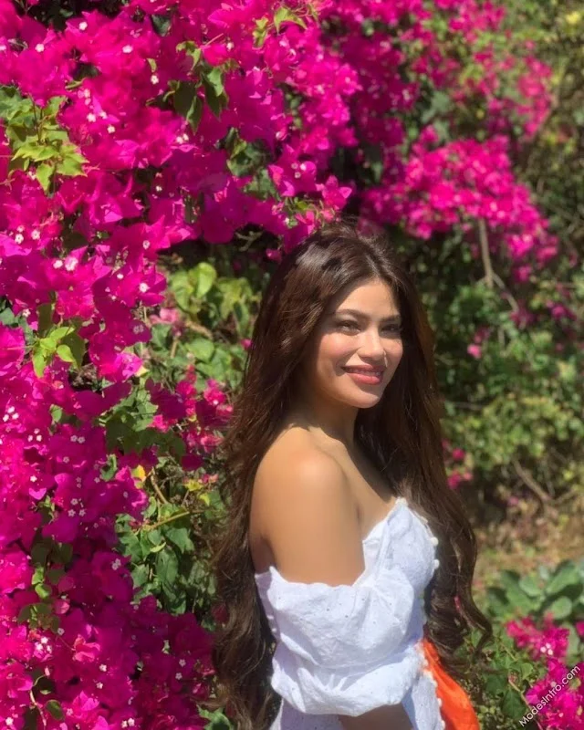 Denise Laurel
