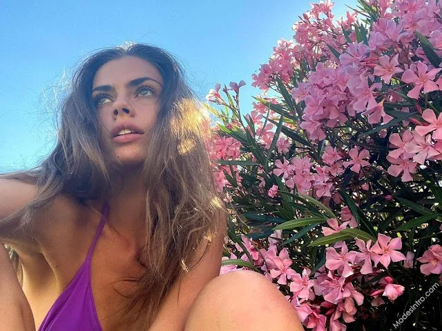Gwen Van Meir
