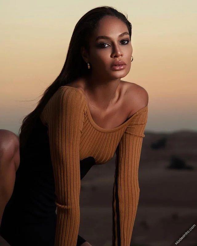 Joan Smalls Cover Photo