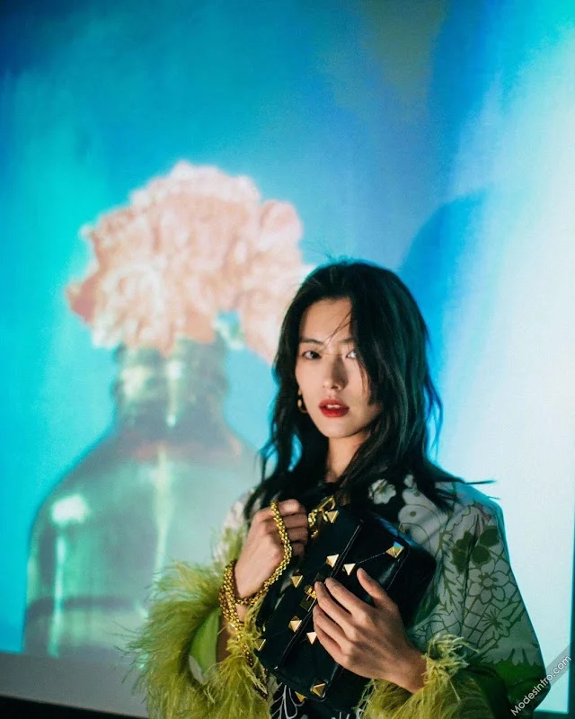 Liu Wen