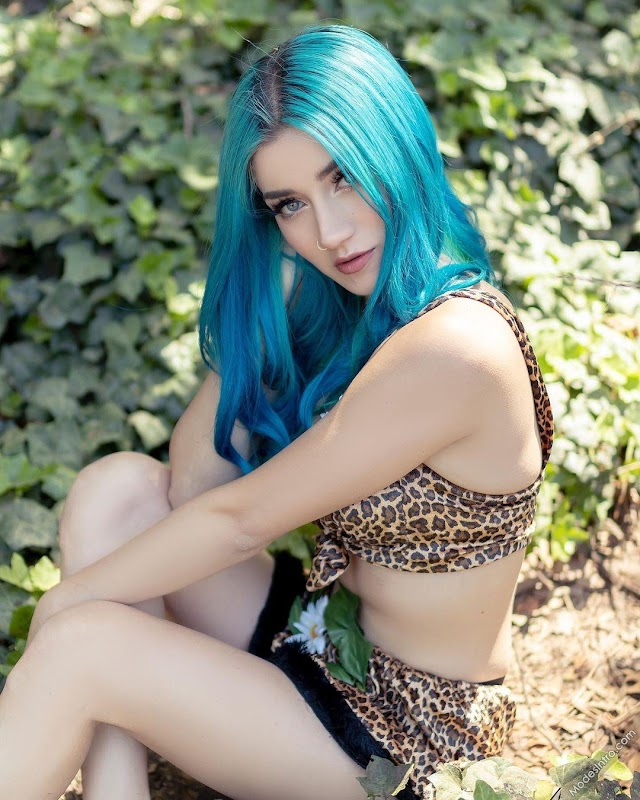 Fay Suicide Cover Photo