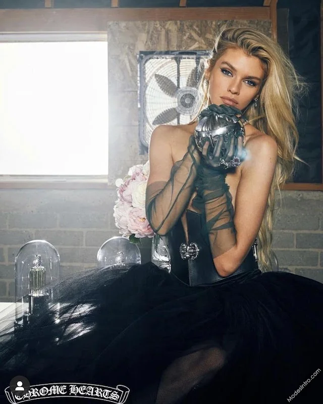 Stella Maxwell Cover Photo